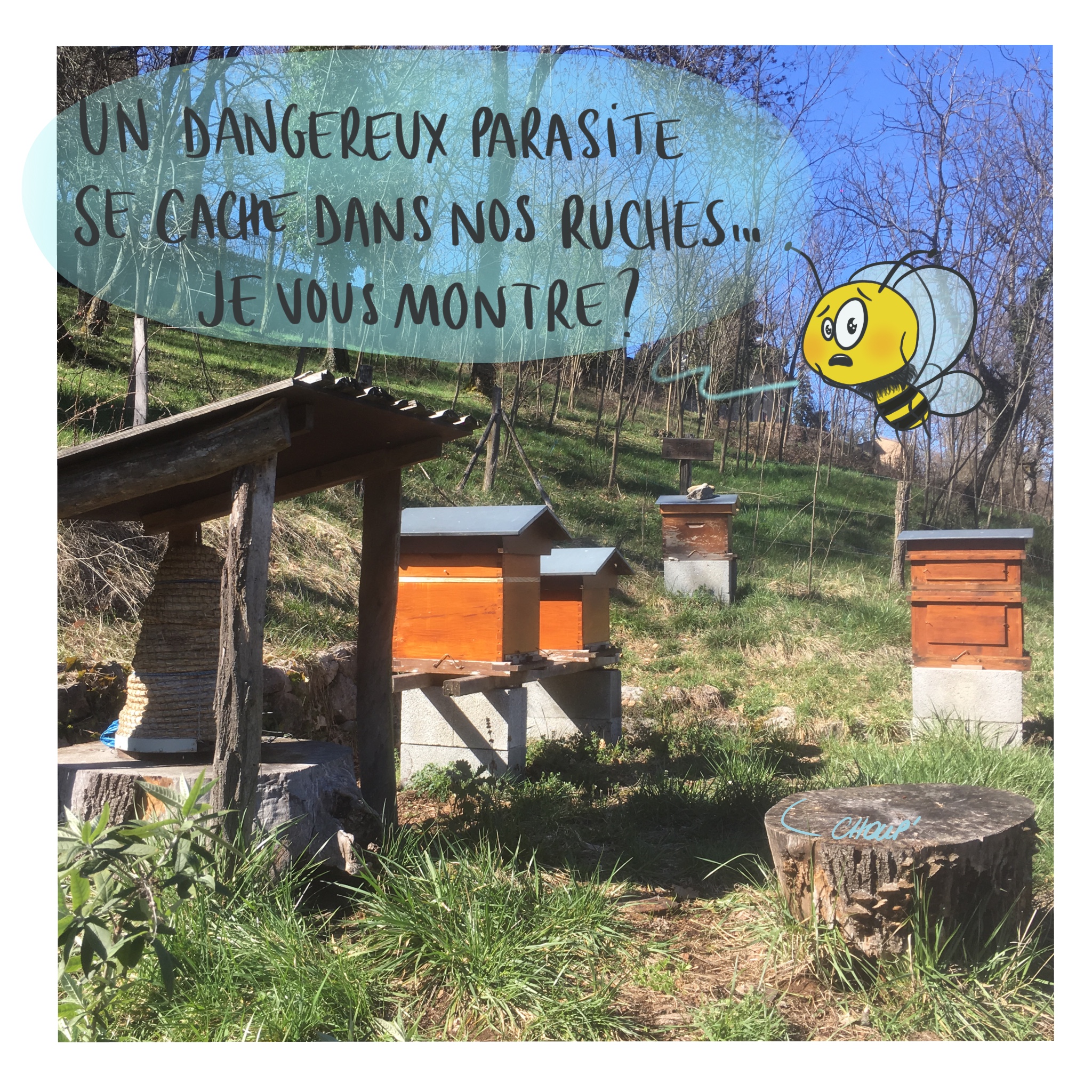 image d'illustration de l'article