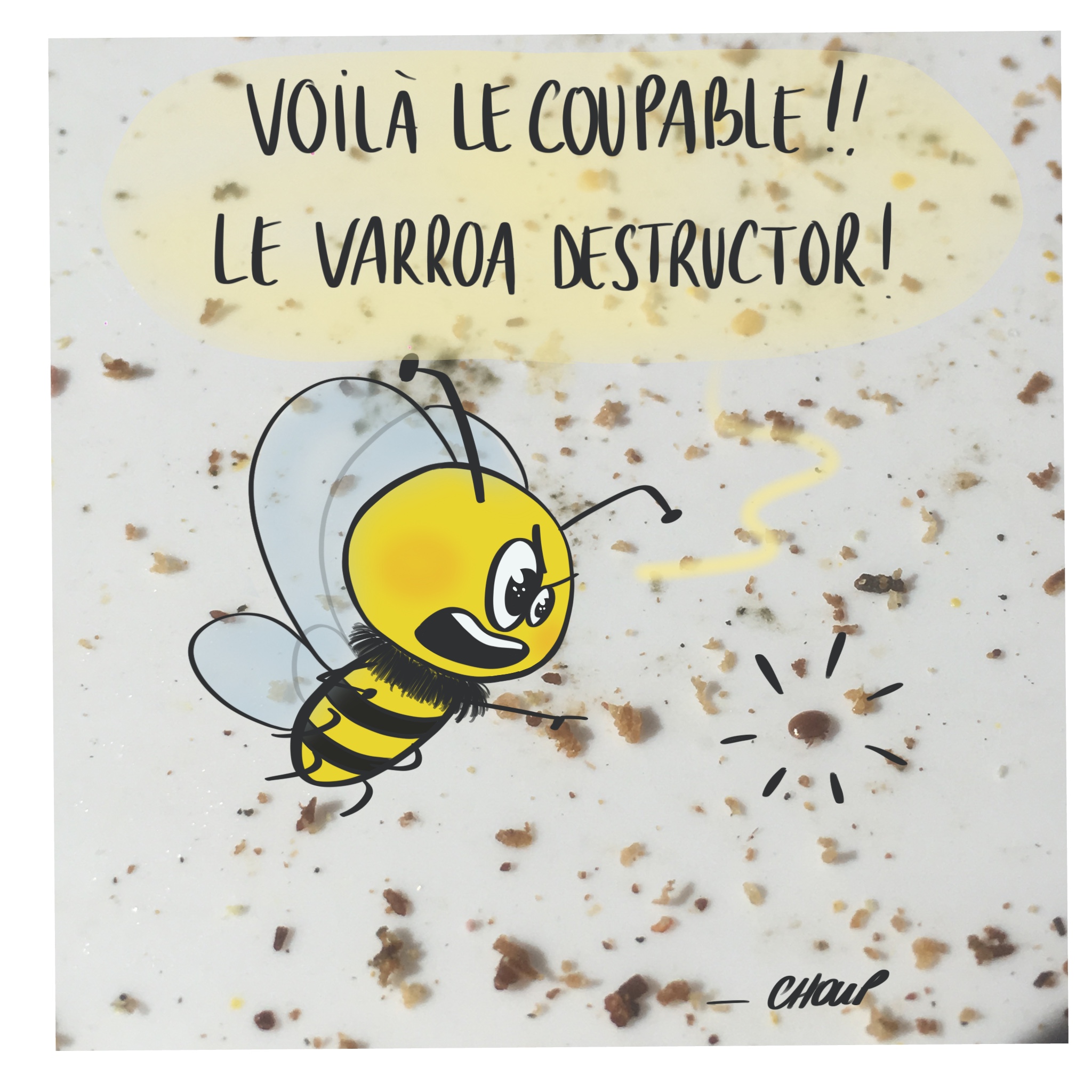 Image d'illustration de l'article