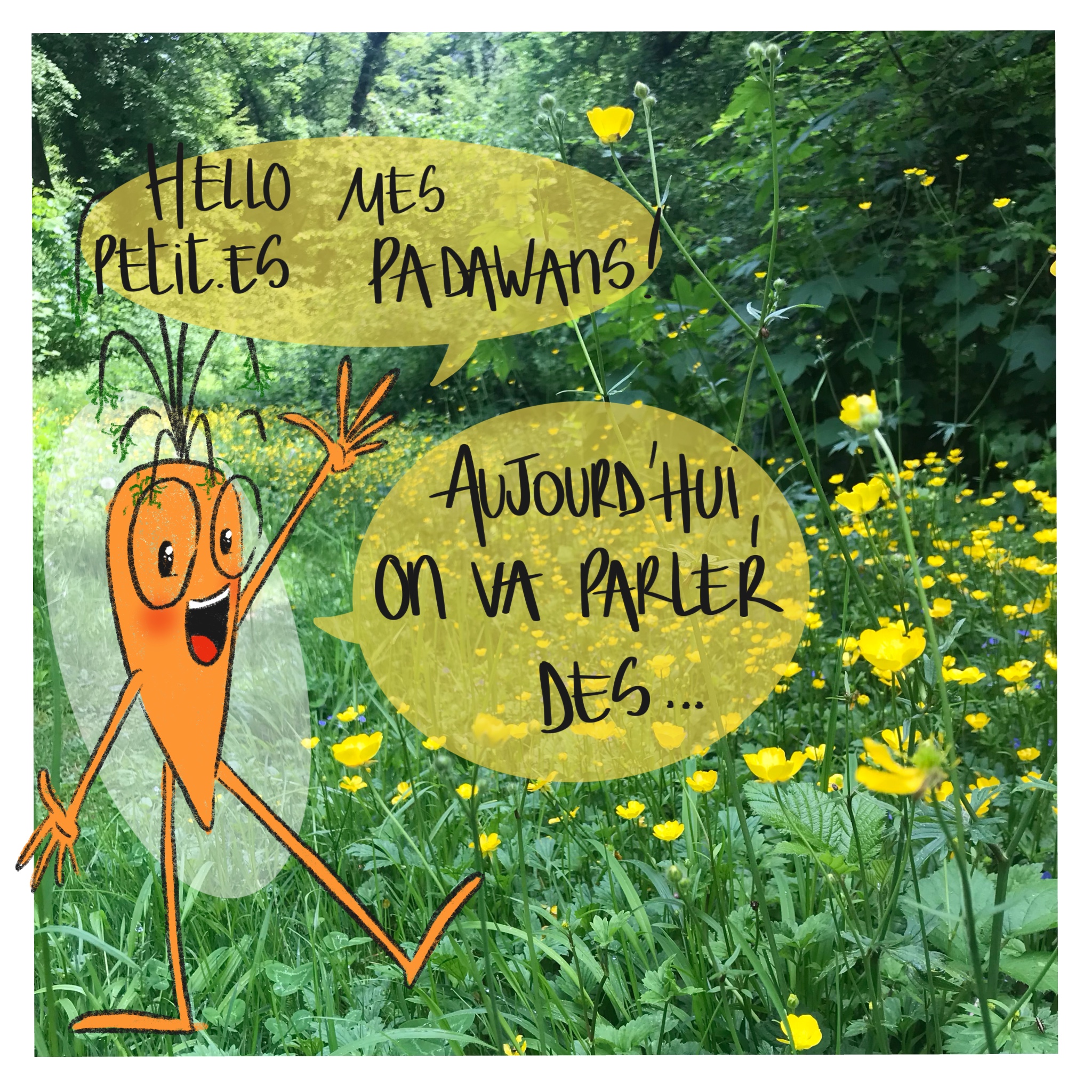 image d'illustration de l'article