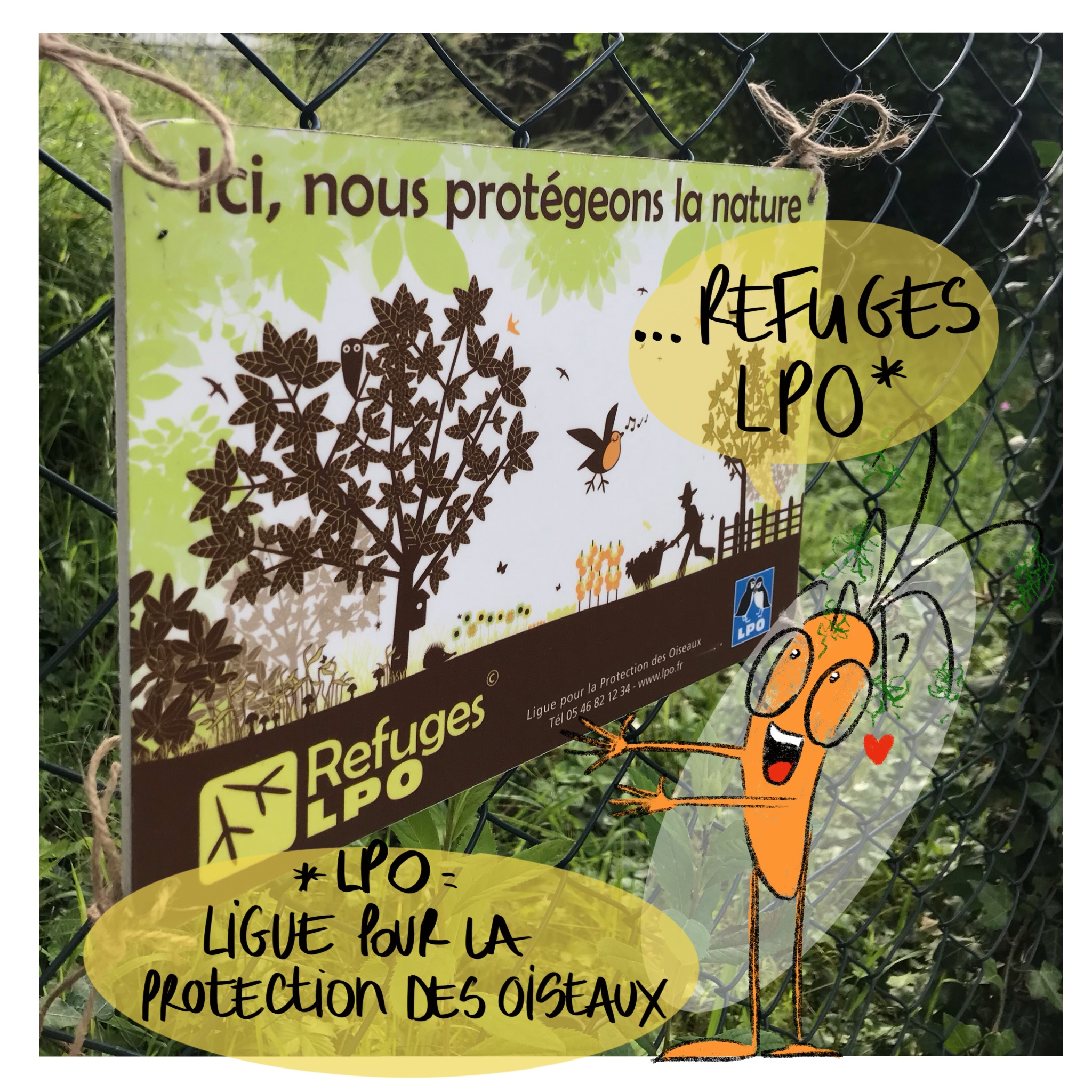 Image d'illustration de l'article