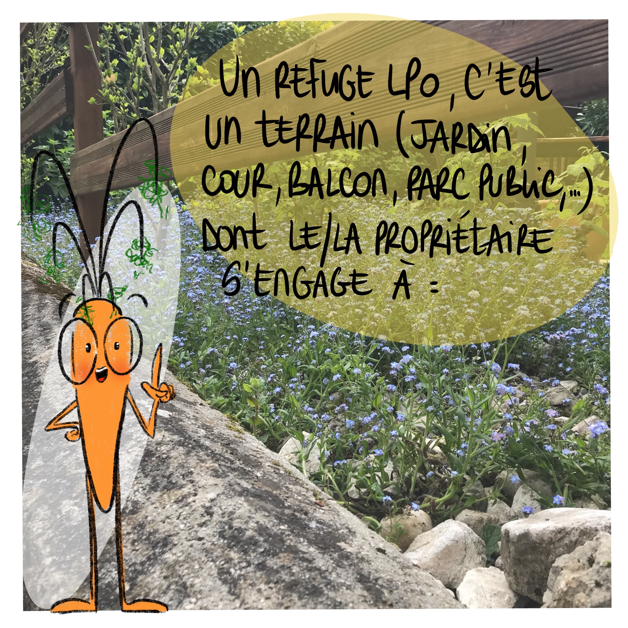 Image d'illustration de l'article