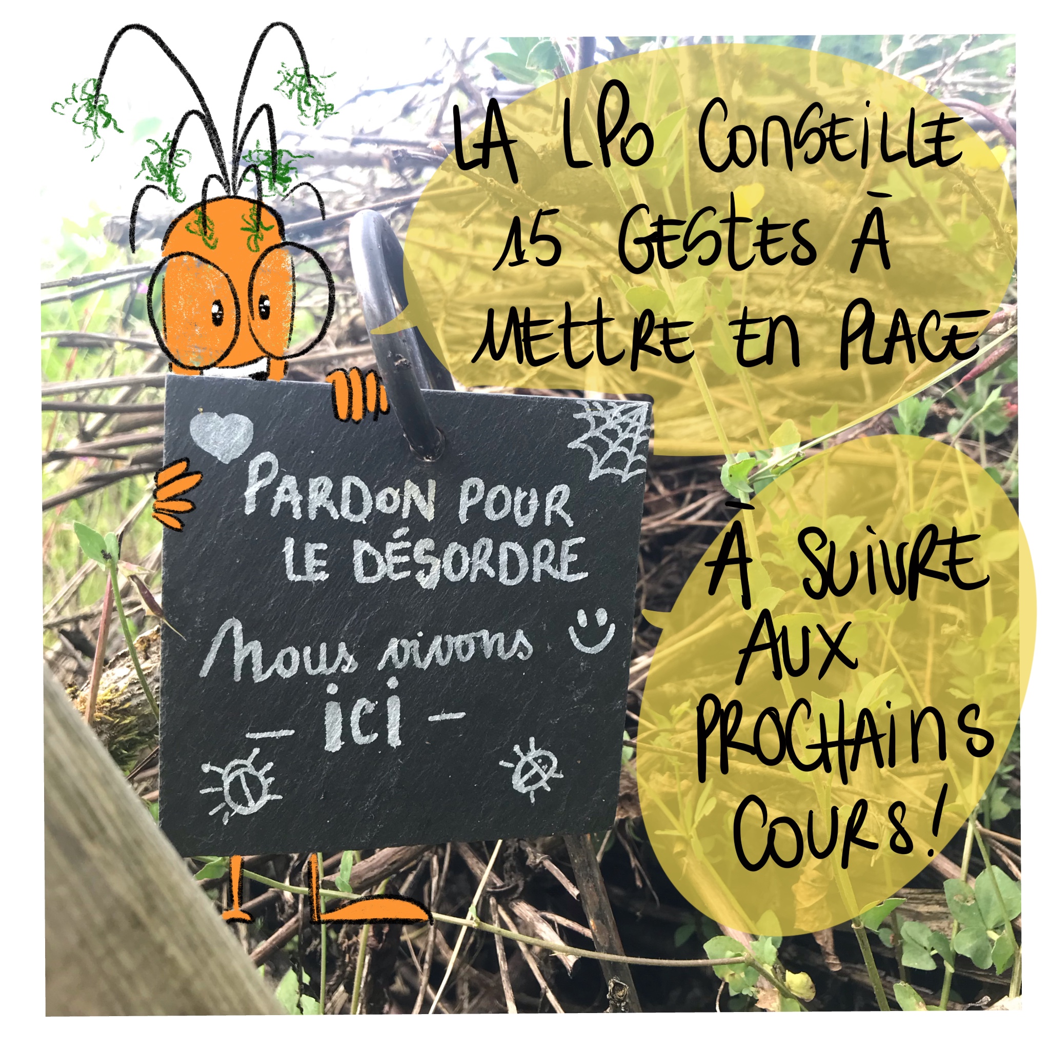 Image d'illustration de l'article