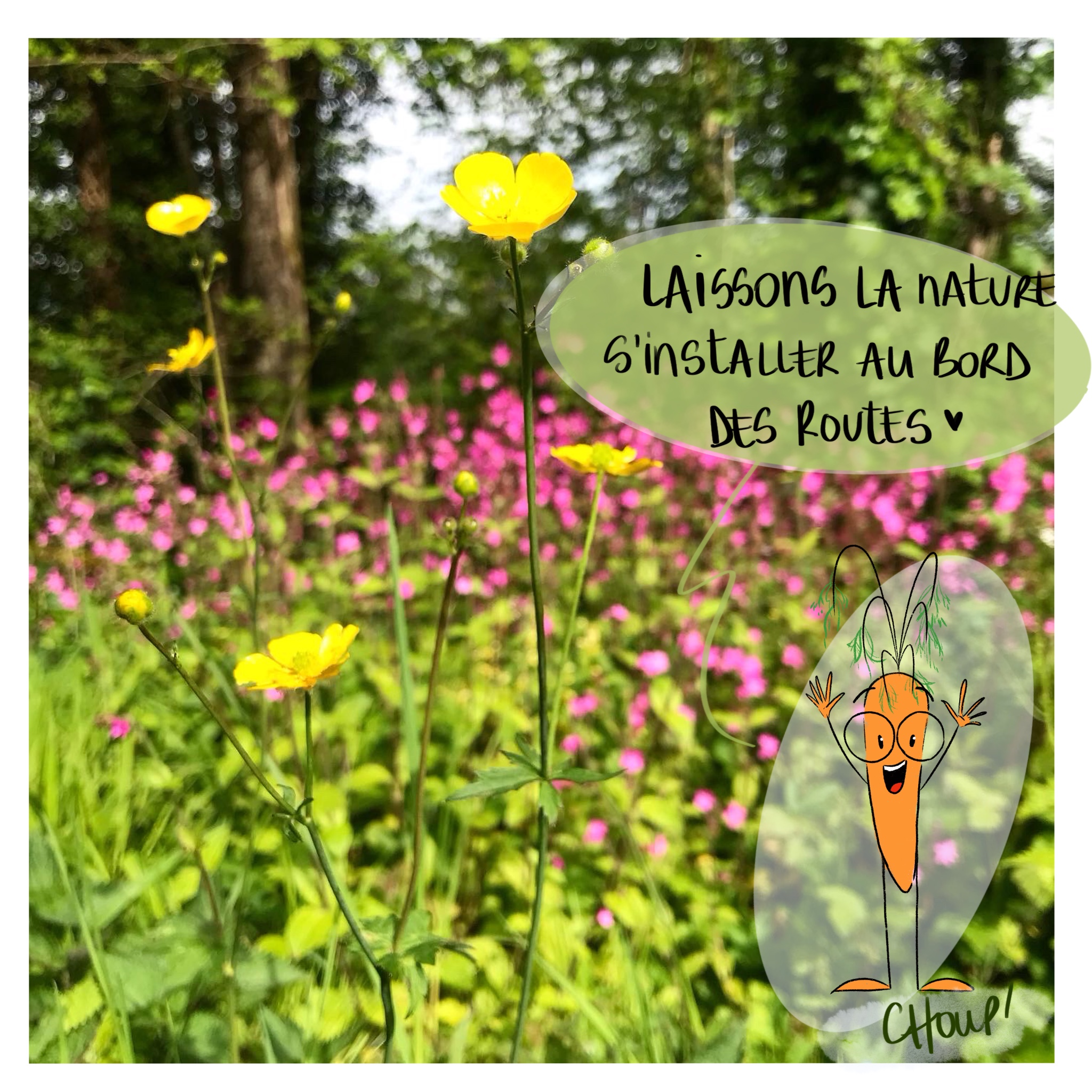 image d'illustration de l'article