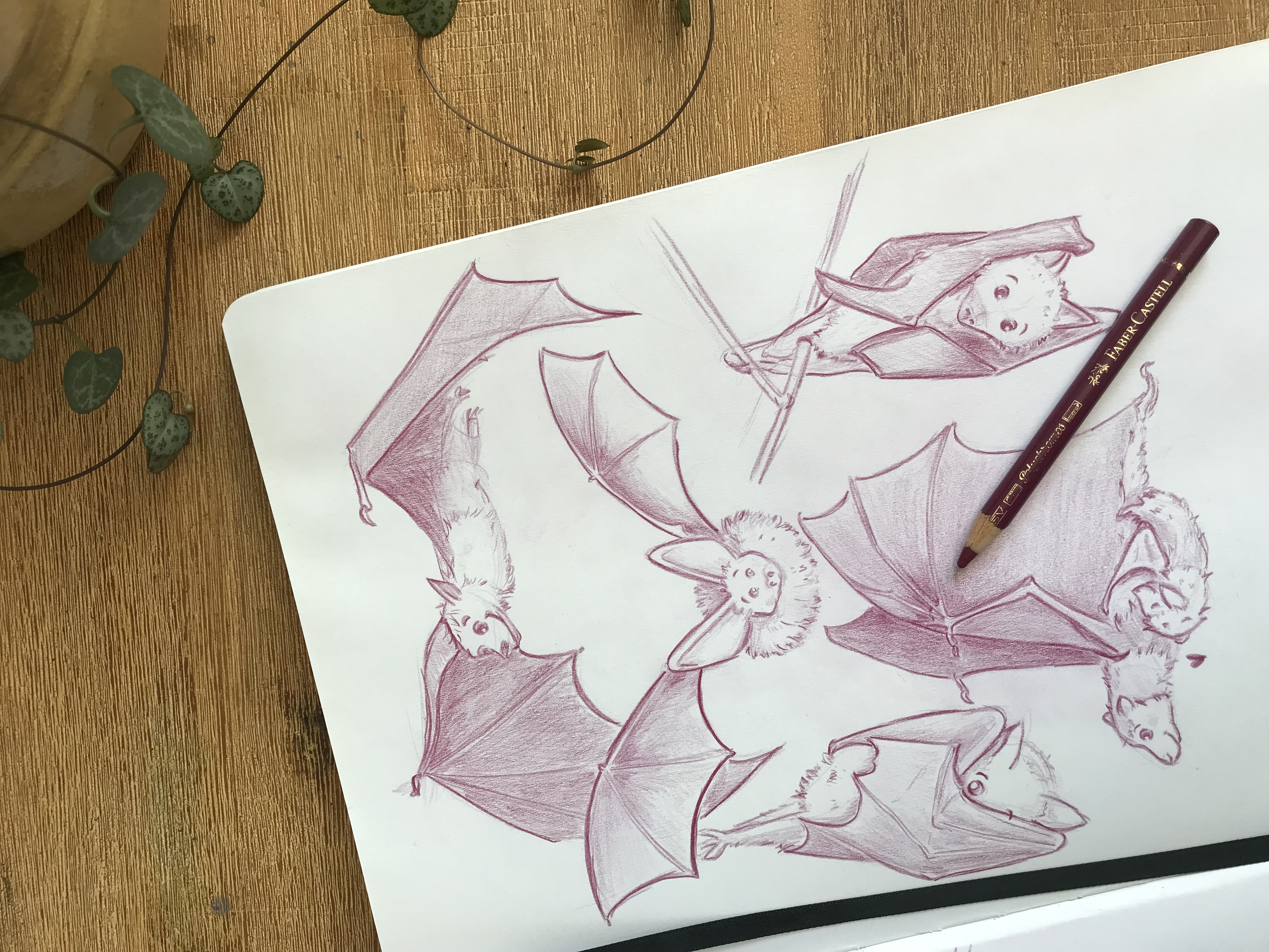 Croquis représentants des chauves-souris