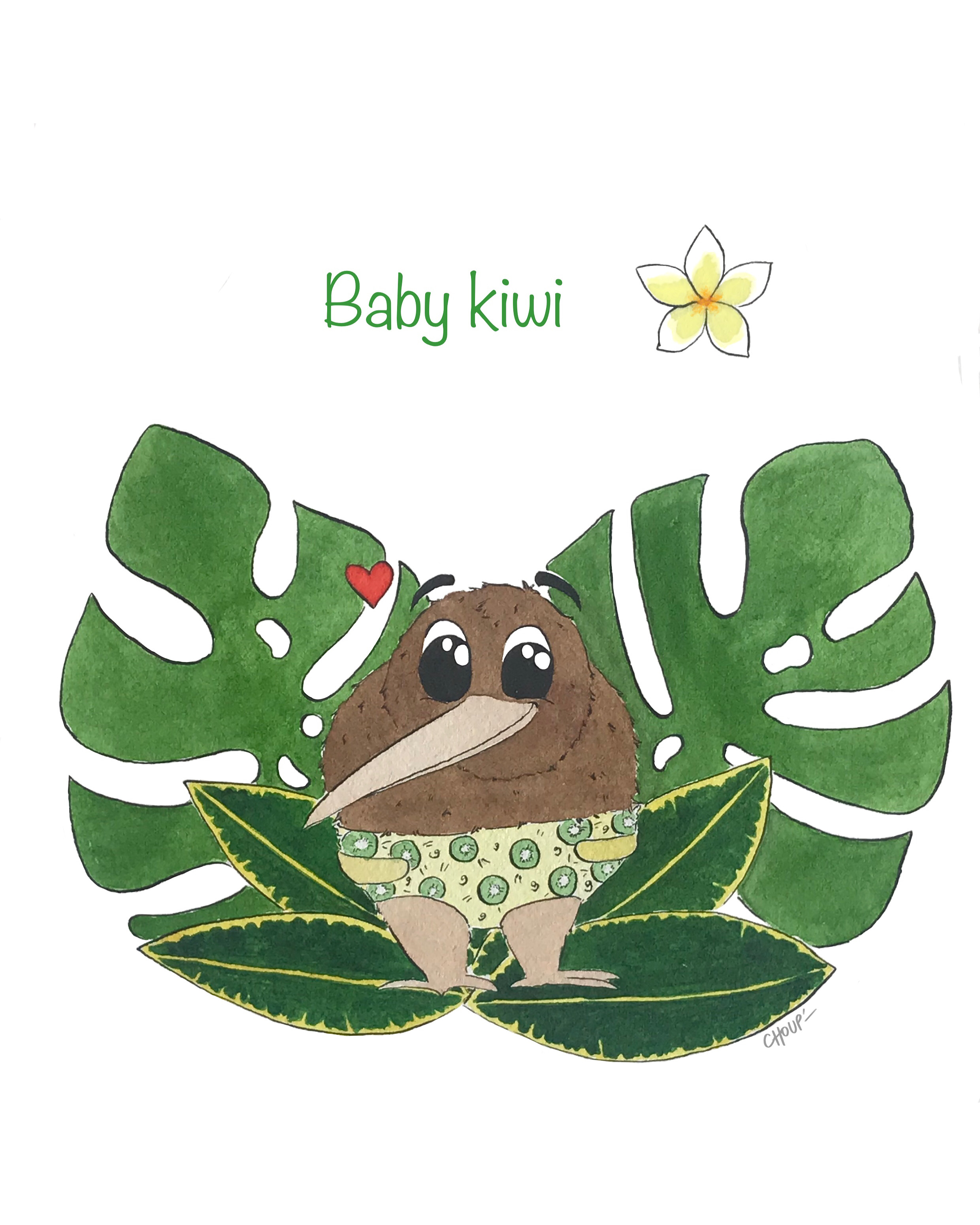 Dessin d'un bébé kiwi