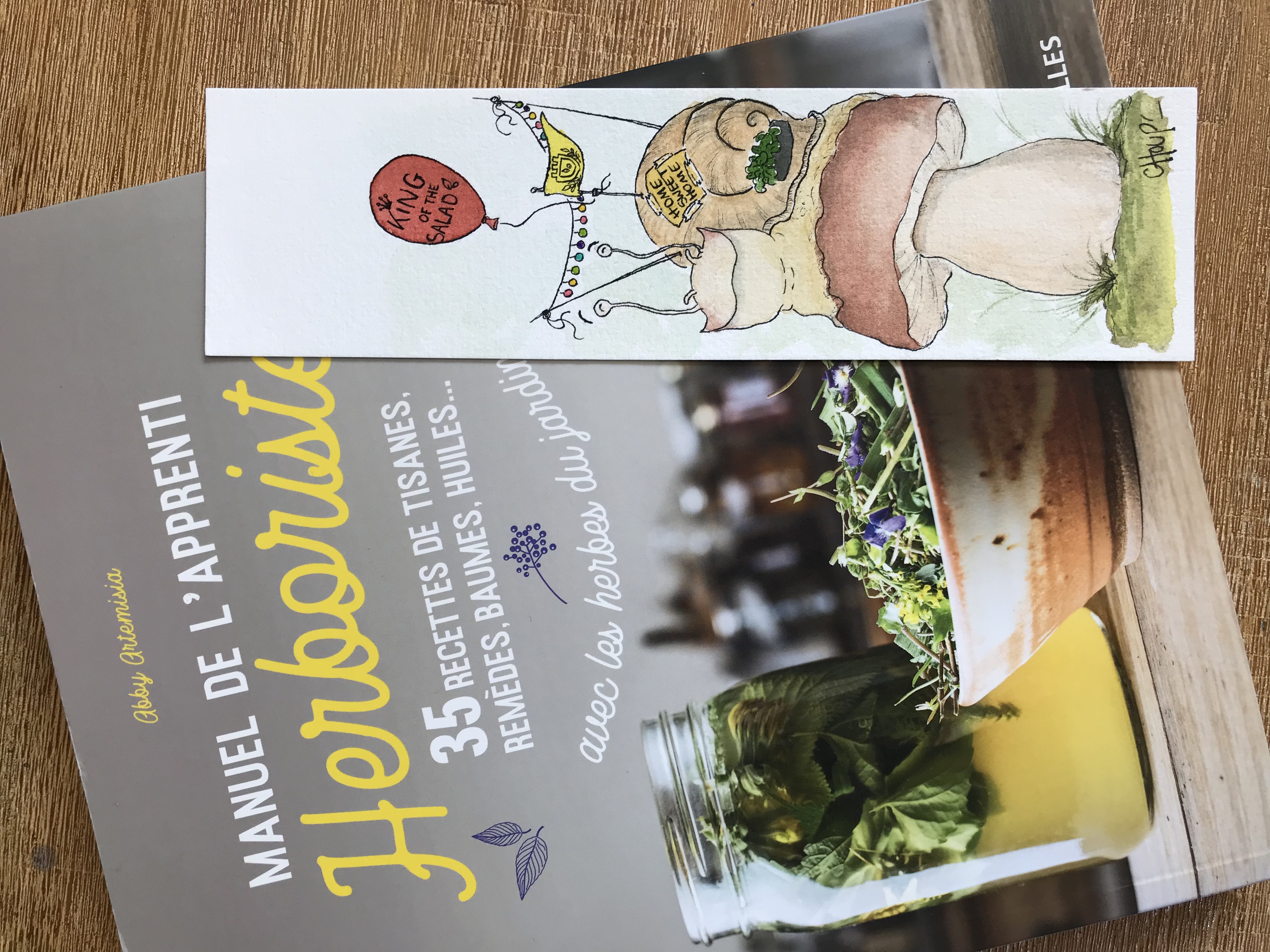 Marque page représentant un escargot sur un champignon